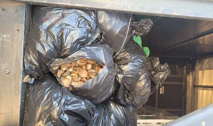 Police seize R7 million worth of abalone, arrest two