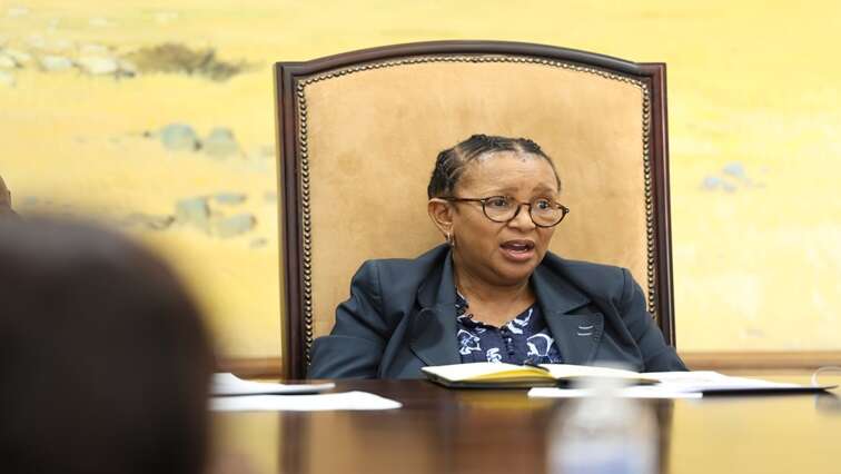 Public Protector to assess corruption complaints against FS Premier