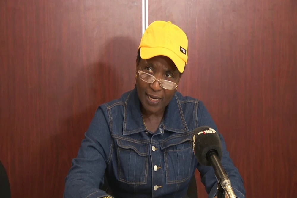 SAPS: Manamela should have gone to Madlanga Inquiry, Ad Hoc Committe