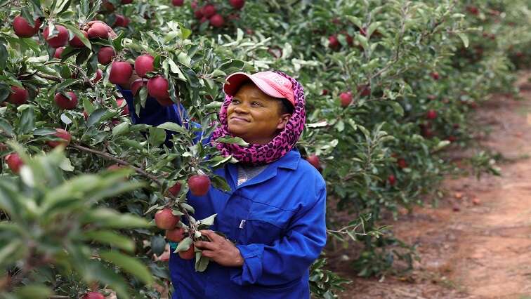 Lamola welcomes Botswana’s lifting of ban on SA vegetable imports