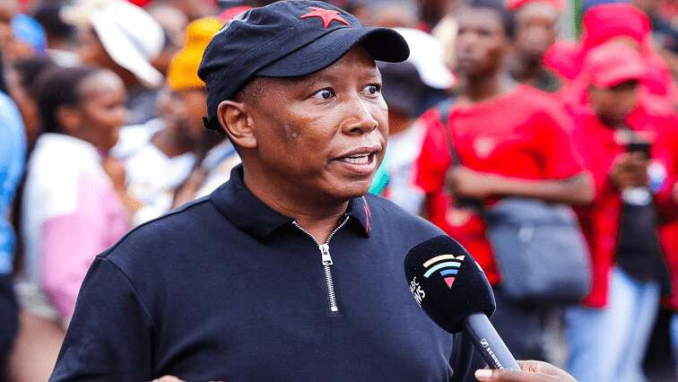 EFF and its leadership took no money from defunct VBS: Malema