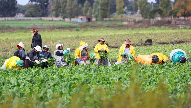 Melkkraal farmers accuse land reform officials of corruption