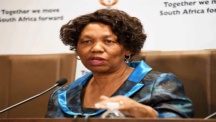 Motshekga acknowledges porous borders as national security threat