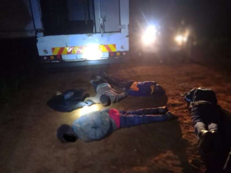 More than 600 suspects arrested during Operation Vala Umgodi: Limpopo