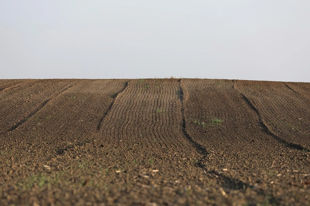 Millions of hectares returned to rightful owners: Nyontsho