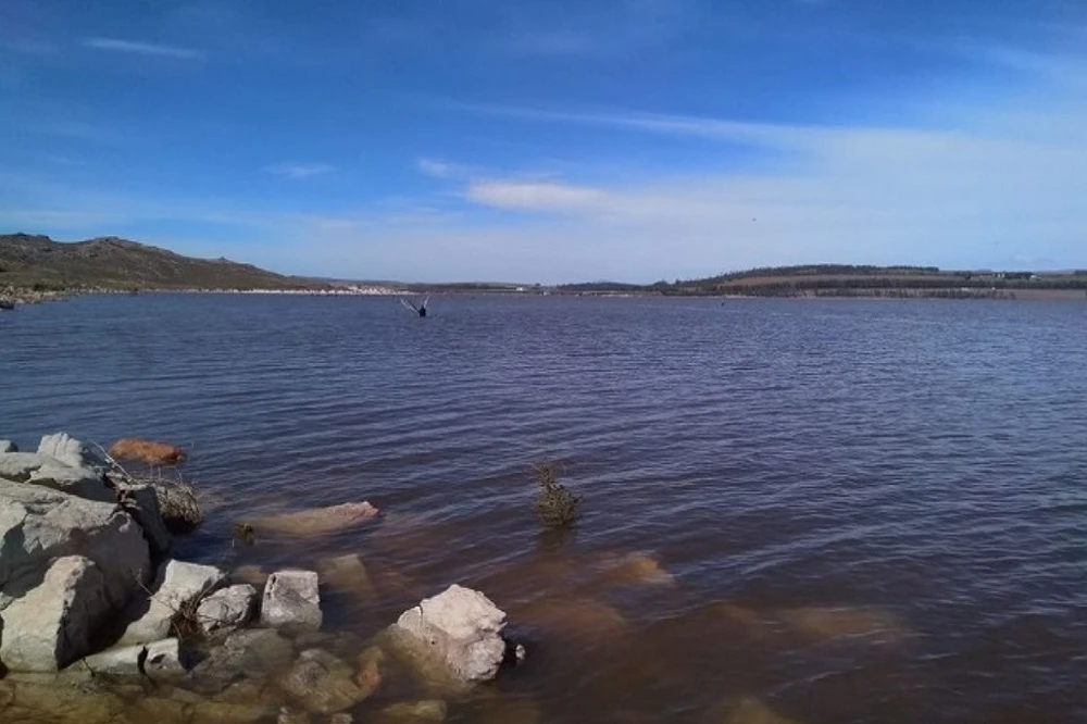 W Cape say dam levels increased amid persistent rain