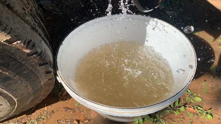 Several learners test positive for bilharzia in Limpopo