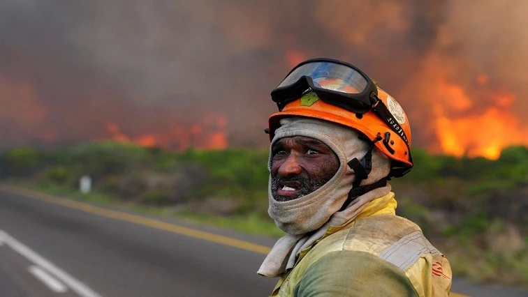 Animal rescue efforts under way after Tokai wildfire