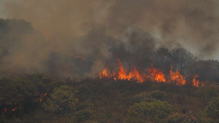 Eastern Cape on high alert after battling advanced blazes