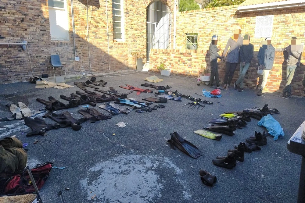 SANParks makes arrests after coordinated operations on Table Mountain