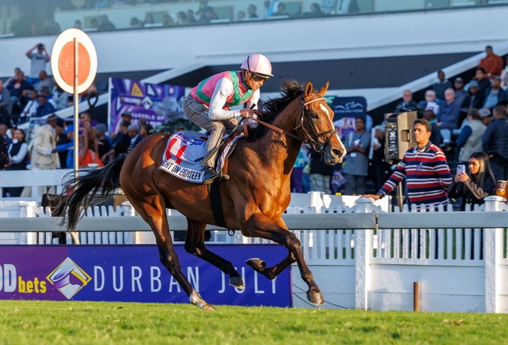 SA’s Gambling laws need overhaul, says Foundation