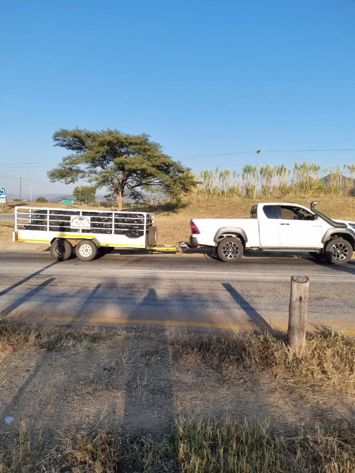 A man arrested in Limpopo for possession of dagga worth R8 mln