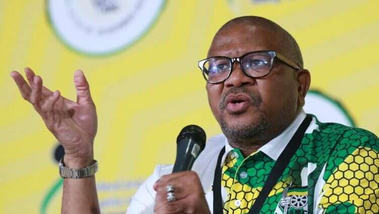 Zuma’s request for reinstatement to ANC mischievous: Mbalula