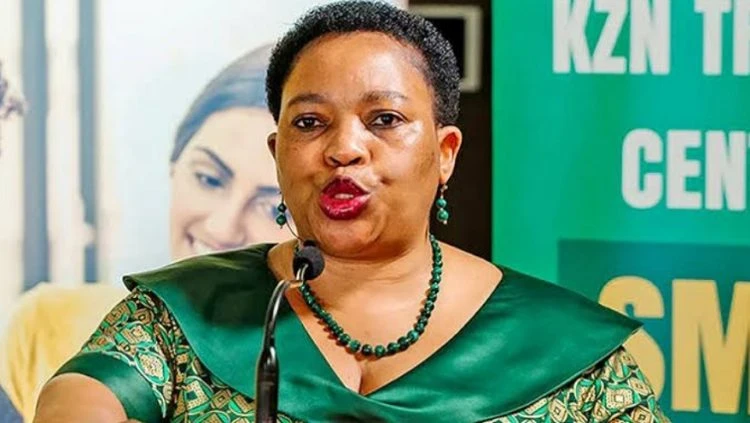 Case of arson probed following a fire at former KZN Premier’s house