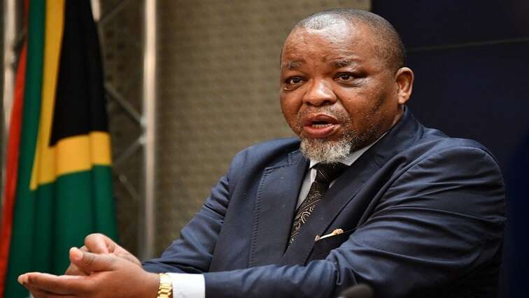 Mantashe encourages delegates at AOW to invest in Africa’s energy