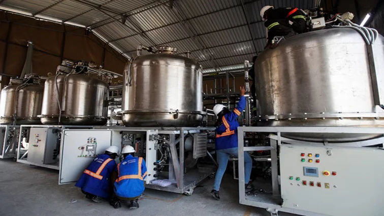 Kenyan start-up aiming to generate carbon credits from thin air