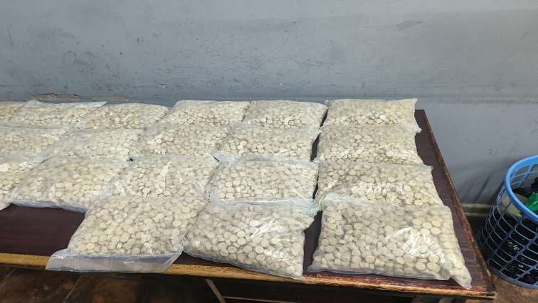 Suspect arrested, mandrax worth R2 million seized in East London