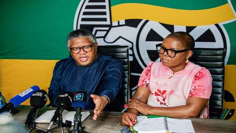 No decision on disbandment of ANC KZN and Gauteng PECs: Mbalula