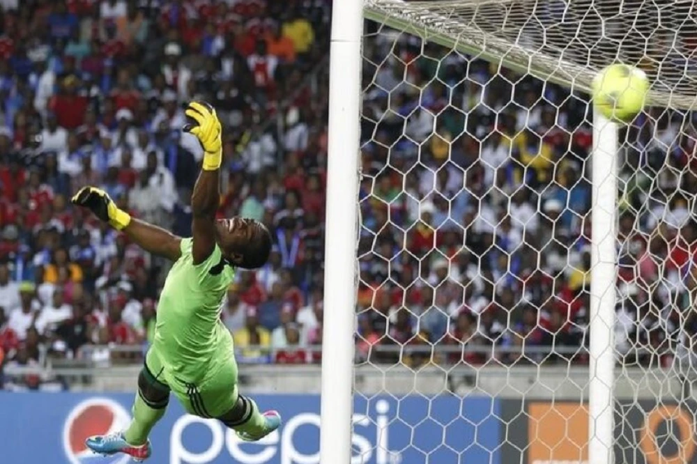 Judge to consult Chief Justice over Meyiwa trial interpreter concerns