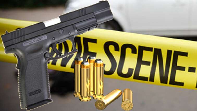 KZN police shoot, kill two suspects in Lindelani