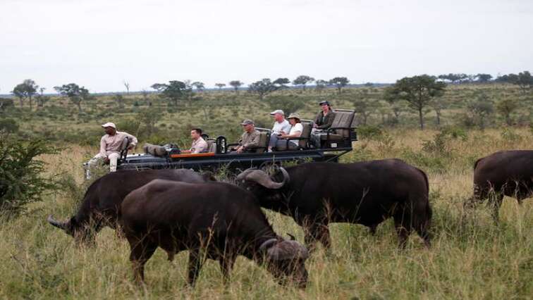 SANparks expects over 30 000 visitors to KNP during free week