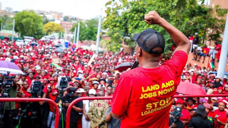 Public spats between EFF and MK weakening opposition: Analyst