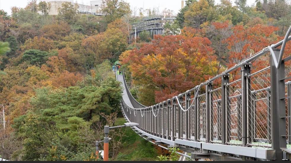 Gimpo City and the reimagining of Korea’s DMZ