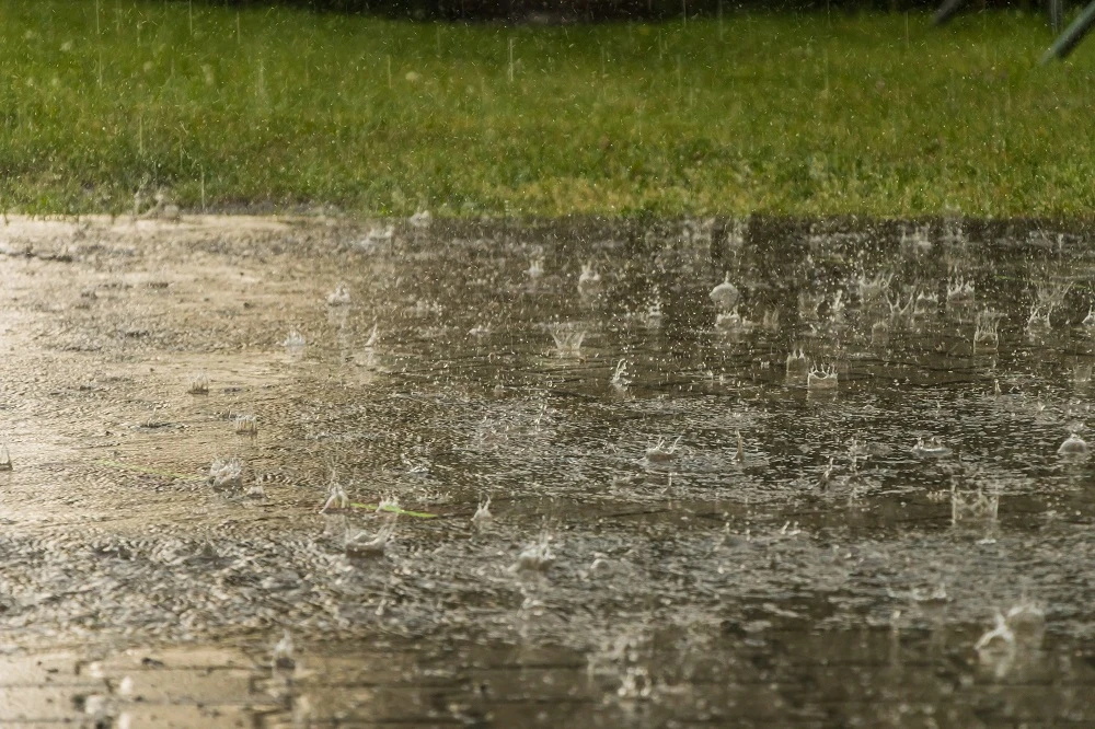 E Cape Education extends school closures due to bad weather