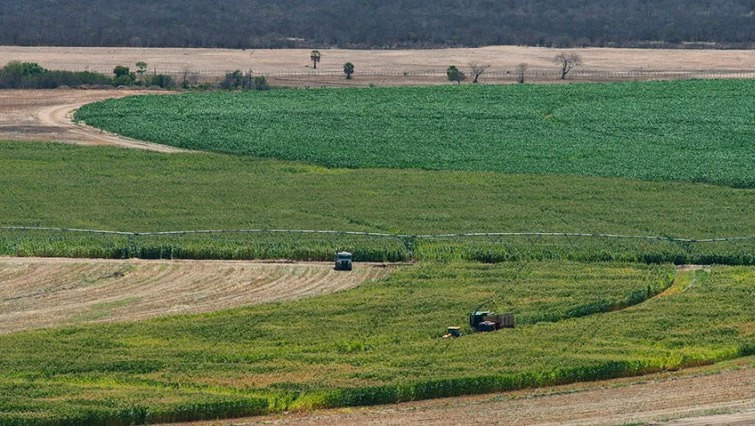 Mpumalanga government aims to resolve long-standing Madalaskom land claim
