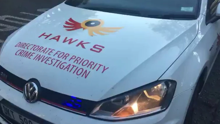 Hawks arrest 15 suspects on charges of vehicle registration fraud