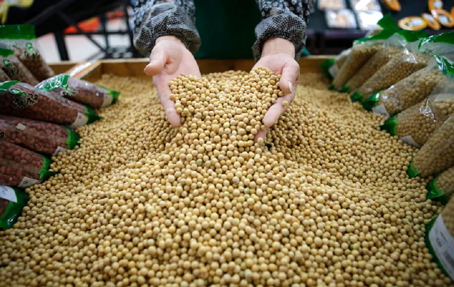 US loses out on China soybean sales as Brazil fills key supply period