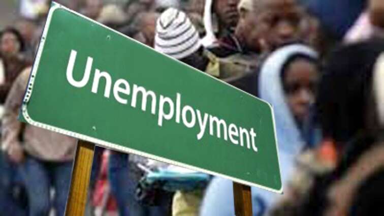 Urgent need to combat youth unemployment crisis: Afrika Tikkun