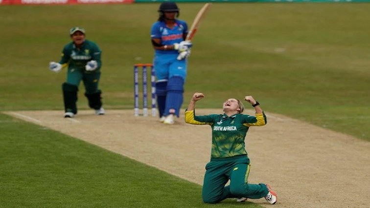 Dane van Niekerk could makes a comeback after early retirement