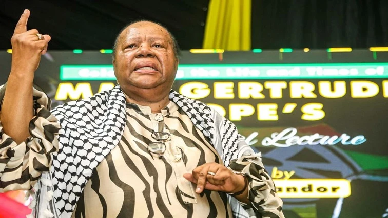 SA confronting testing national and geopolitical stresses: Pandor