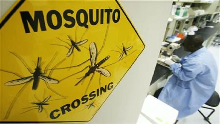 Many Gauteng malaria cases imported from high risk areas: NICD