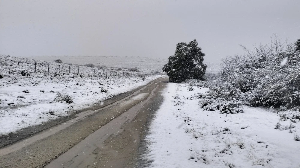 Wood, paraffin sales in Ficksburg soar as cold front grips the area