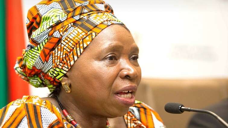 Dlamini-Zuma urges youth to defend liberation gains, acquire skills