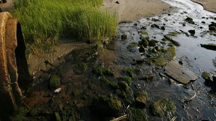 Sewage spillage continues in Galeshewe in Northern Cape