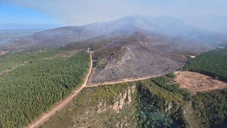 Lightning sparks fire at Garden Route National Park