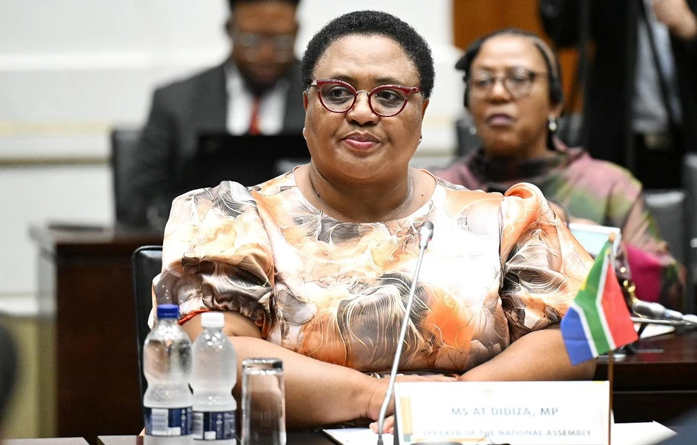 ATM accuses Didiza of protecting Ramaphosa in Phala Phala saga
