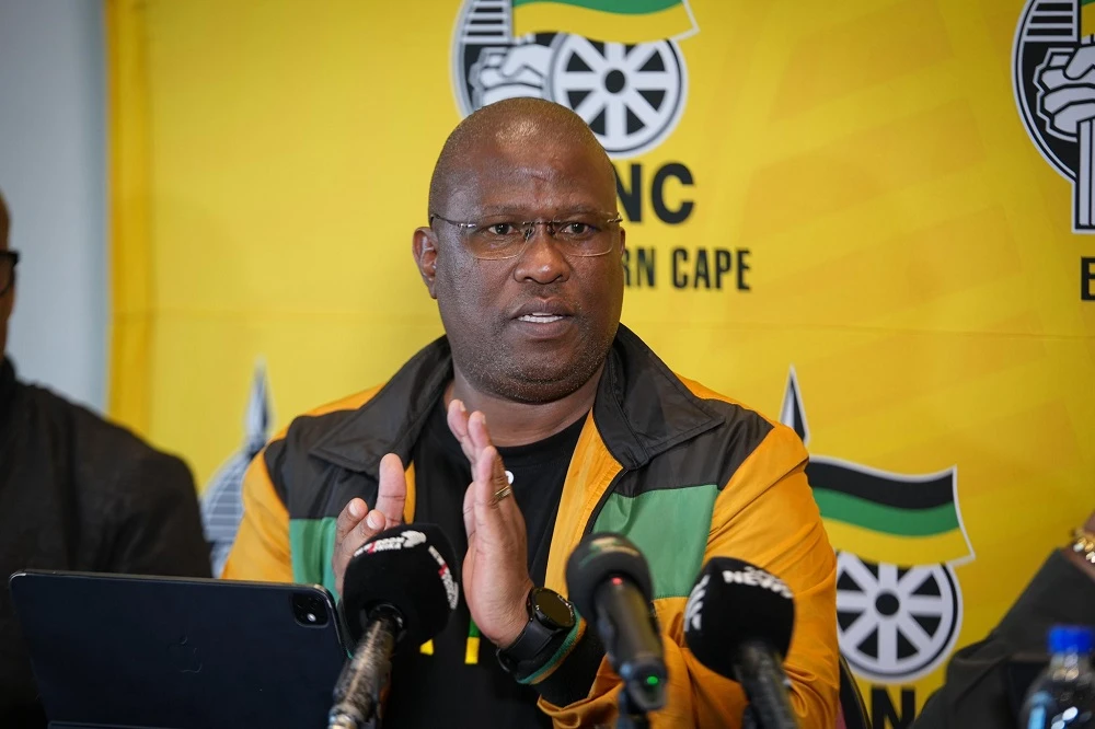 ‘External masterminds’ to blame for E.Cape ANC conference collapse