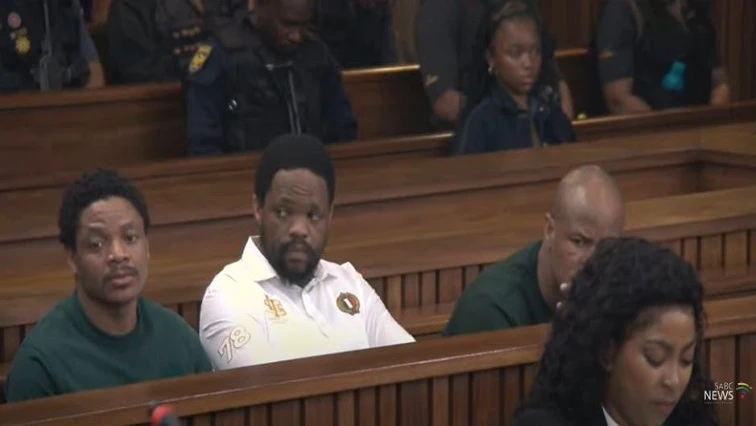 No evidence linking Maphisa to Meyiwa murder: Defence