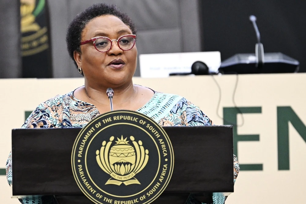 Didiza denies claims of meeting Ramaphosa’s legal team