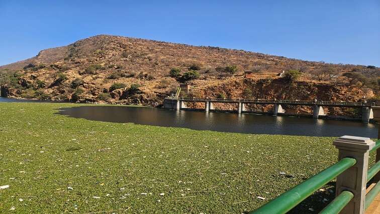 Water department to assess Hartbeespoort Dam rehab programme