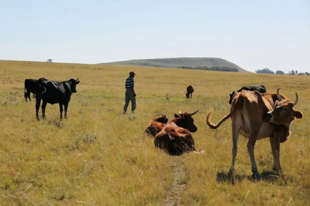 Farmers association in Kuruman calls for efforts to curb farm murders