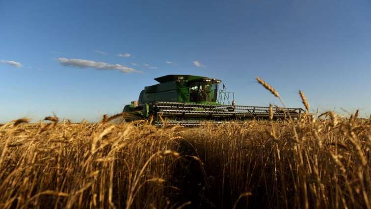 China hits US agriculture amid fresh Trump tariffs