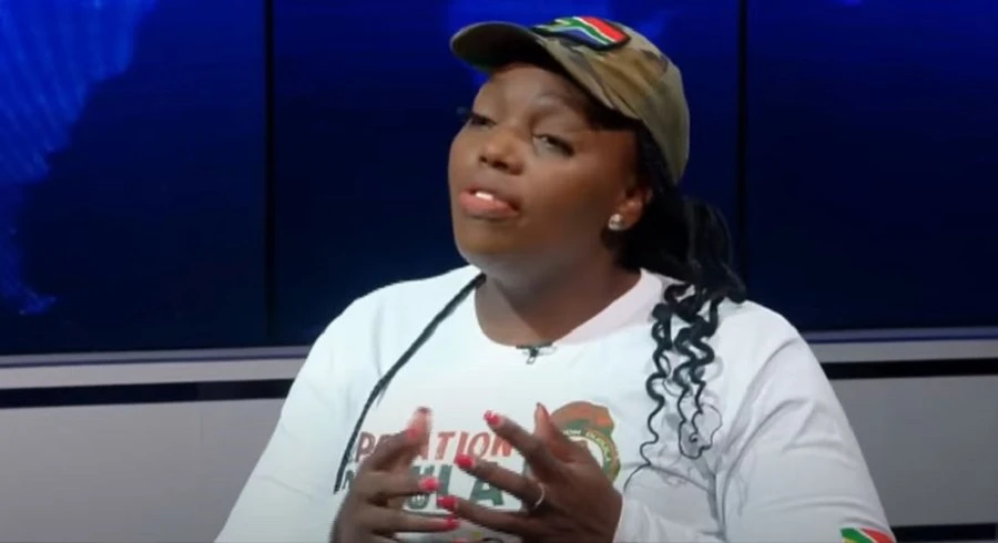 Civil group blames undocumented migrants for SA healthcare strain
