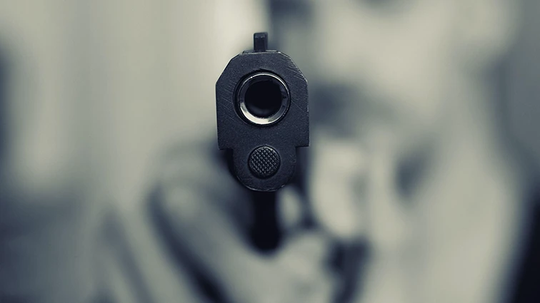 Firearms Bill could fuel crime, police committee warns