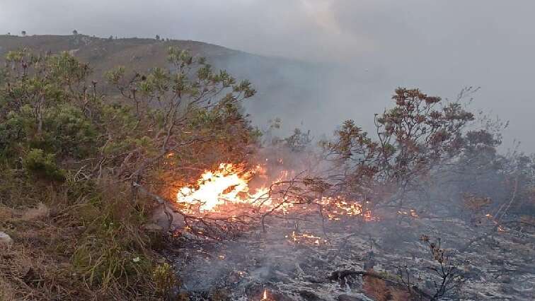 Overstrand mountain fire contained