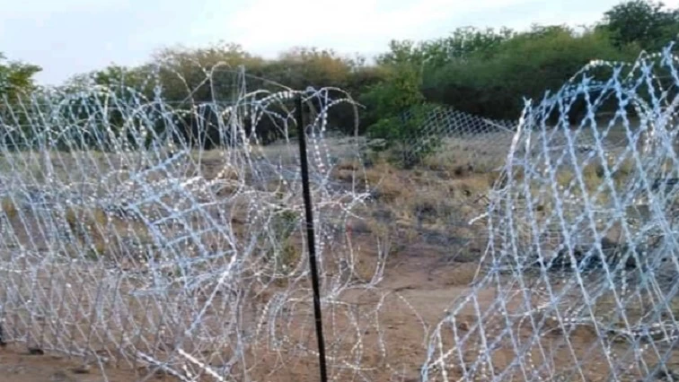 FS Premier flags officials’ role in undocumented Zimbabwean migration